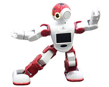 animation course de robots