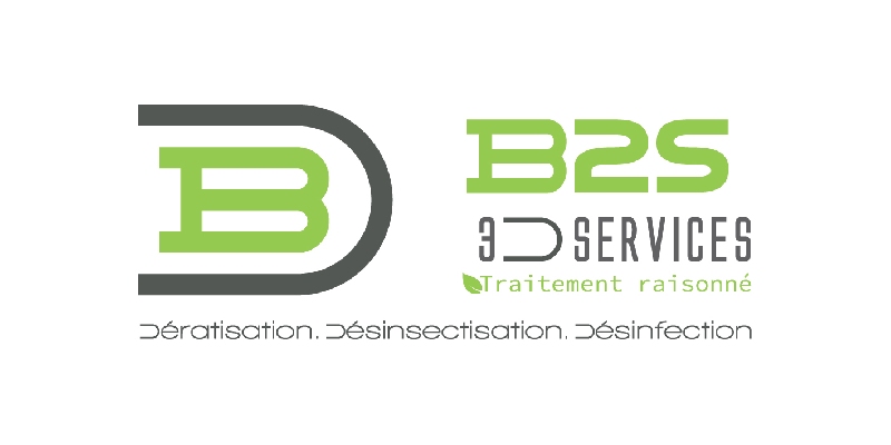 P345_-creation-du-logo-b2s-services-3d.jpg - 